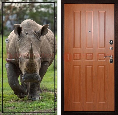 Металлическая дверь с фотопечатью носорога ДФ-31 в Голицино