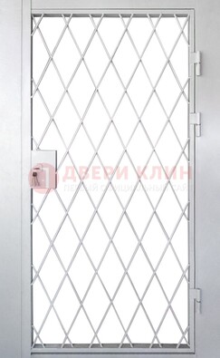 Стальная решетчатая дверь ДР-13 в Голицино