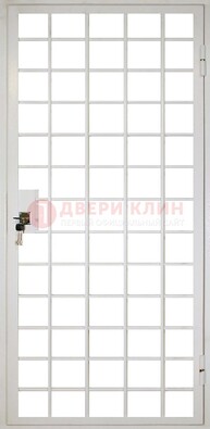 Белая металлическая решетчатая дверь ДР-2 в Голицино