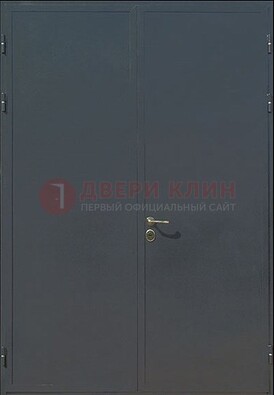 Двухстворчатая техническая дверь ДТ-5 в Голицино